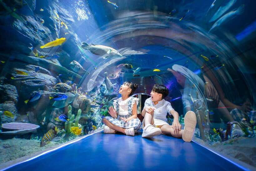 Ha Noi: VinKE and Vinpearl Aquarium Entry Ticket - Who Should Consider This Tour?