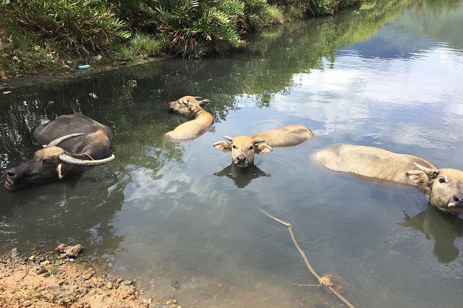 HAI VAN PASS JEEP TOUR - Top Gear Explore by JEEP - Practical Details & Tips