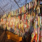 Half Day Korea DMZ Tour (hotel pick up) / opt: suspension bridge - Why This Tour Offers Great Value