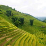 Half Day Sapa Trekking to Visit Lao Chai - Ta Van - The Itinerary: What to Expect