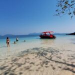 Half Day Snorkeling Trip in Ko Chang Thailand (shared) - Key Points