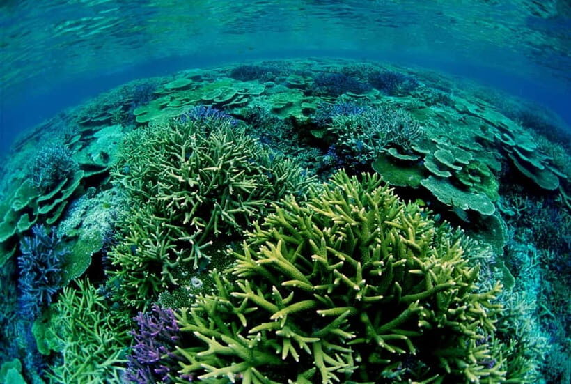 Half-Day Snorkeling Trip to Kerama & Marine Sports - FAQ