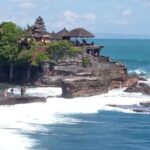 Half Day Tanah Lot Temple Private Guided Tour - The Experience From the Traveler’s Perspective