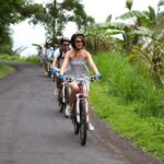 Half-Day Ubud Rice Field and Village Cycling Tour - The Sum Up: Who Should Sign Up