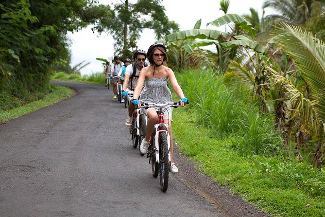 Half-Day Ubud Rice Field and Village Cycling Tour - The Sum Up: Who Should Sign Up