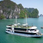Halong Bay 1 Day Trip By Luxury Arcady Premium Cruise - Practical Details and What They Mean for You
