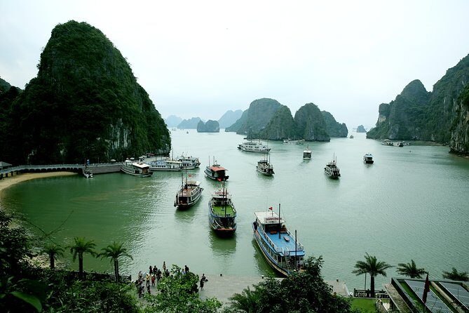 Halong Bay Cruise Tour from Hanoi with Kayak Adventure - What to Expect from This Tour