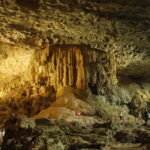 Halong Bay: Day Cruise from Halong Port Shore Excursion - Detailed Breakdown of the Itinerary