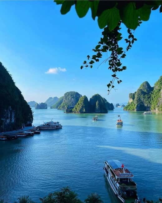 HALONG VITAWELL DAY TOUR ON LUXURY CRUISE - What You Need to Know Before Booking