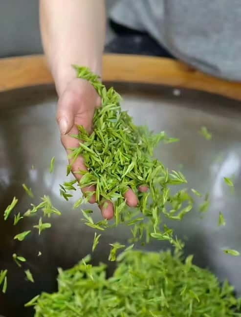 Hangzhou: Longjing Village Tea Picking and Tasting Tour - Itinerary Breakdown: From Village to Tea Fields