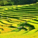 Hanoi: 4-day tour Immersion in the heart of the villages of northern Vietnam - Day 3: Navigating Ninh Binh’s Caves and Visiting Phu Hau