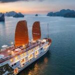 Hanoi: 6-Day Northern Vietnam Tour with Halong Bay Cruise - Transportation and Logistics