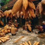 Hanoi: Day Trip to Bamboo Fish Trap & Soy Sauce Villages - Practical Details & Tips