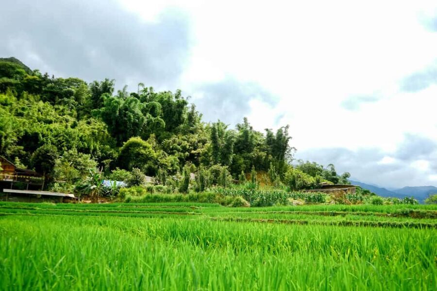 Hanoi: Sapa Trekking Tour with Bus Transfer & Homestay - Practical Details and What to Pack