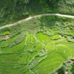 Hanoi to Sapa: Terraced Fields, Culture & Cuisine  3 Days - Transportation & Accommodation