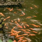 Hanoi: Viet Phu Thanh Chuong Guided Tour with Lunch & Pickup - Who Is This Tour Best Suited For?