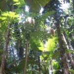 Heritage Goa, Ancient Churches and Spice Plantation Visit - What Makes This Tour Stand Out?