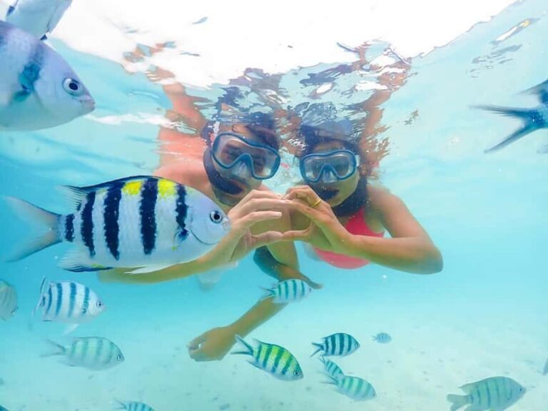 Hikkaduwa Snorkeling Tour: 2 Hours of Underwater Adventure - What’s Included and What to Bring