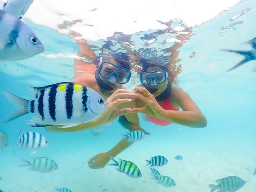 Hikkaduwa Snorkeling Tour: 2 Hours of Underwater Adventure - What’s Included and What to Bring