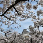 Himeji: visit the castle and Engyoji temple from Osaka - Discovering Mount Shosha and Engyoji Temple