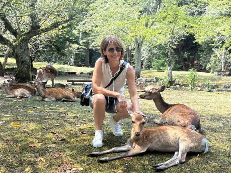 Hiroshima: Miyajima Island Half-Day Tour with Guide - What Makes This Tour Stand Out?
