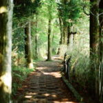 Ho Chi Minh City: Photoshoot with a French Photographer - Practical Tips for Making the Most of Your Photoshoot