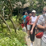 Ho Chi Minh Uncovered Cu Chi tunnels and Mekong Delta Tour - Why This Tour Works