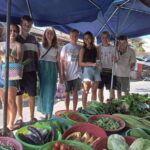 Hoi An: Cam Thanh Cooking Class & My Son Sanctuary Day Tour - A Detailed Look at the Experience
