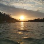 Hoi An: Coconut basket boat with Enjoy Coconut E-Ticket - The Practical Aspects: Logistics, Cost, and Group Size