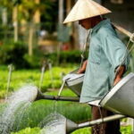 Hoi An Food Tour - Street Eats And Hoi An Hidden Gems - What to Expect on the Tour