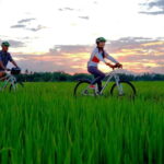 Hoi An: Private Evening Food Tour by Bike - Who Is This Tour Best For?