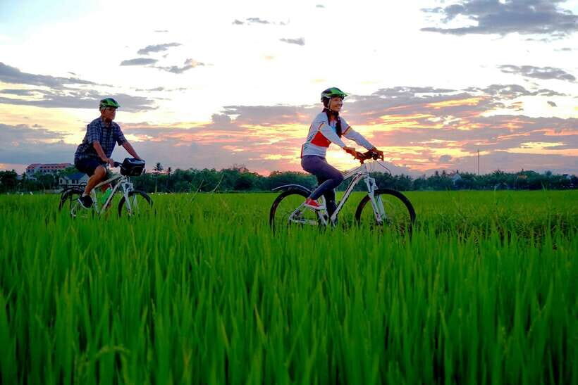 Hoi An: Private Evening Food Tour by Bike - Who Is This Tour Best For?