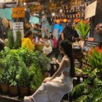 Hoian Old Town - Immersive Free Walking Tour - What to Expect During Your Tour