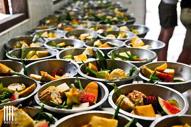 Hua Hin : Wildlife Friend Foundation Day Trip - Why This Tour Offers Great Value