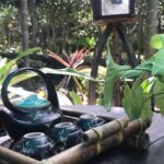 Hue: Thuy Bieu Village Bike Tour with Lunch - Savoring Hue’s Flavors