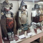 Iga: Discover Ninja Secrets at Ueno Castle & Ninja Museum - Who Will Love This Tour?