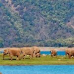 India: Golden Triangle & Jim Corbett National Park Tour - Day-by-Day Breakdown