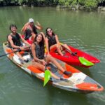 Iriomote: Mangrove SUP or Canoe and Yubujima sightseeing - The Value of This Tour