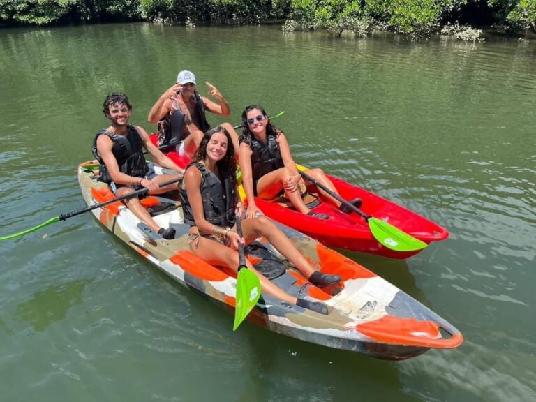 Iriomote: Mangrove SUP or Canoe and Yubujima sightseeing - The Value of This Tour