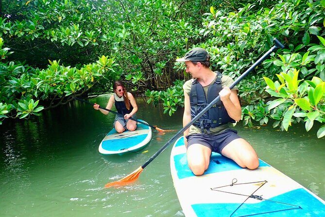 [Ishigaki]Mangrove SUP/Canoe + Blue Cave Snorkeling - What You Can Expect from the Tour