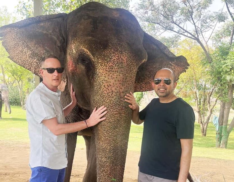 Jaipur: Amber Fort, Jal Mahal and Hawa Mahal Private Tour - Practical Tips for Your Jaipur Day Trip