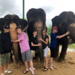 Jaipur: City Tour With Elephant Interaction - Who Will Love This Tour?