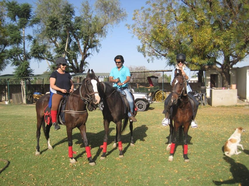 Jaipur Horse Riding Adventure - Who is this tour perfect for?