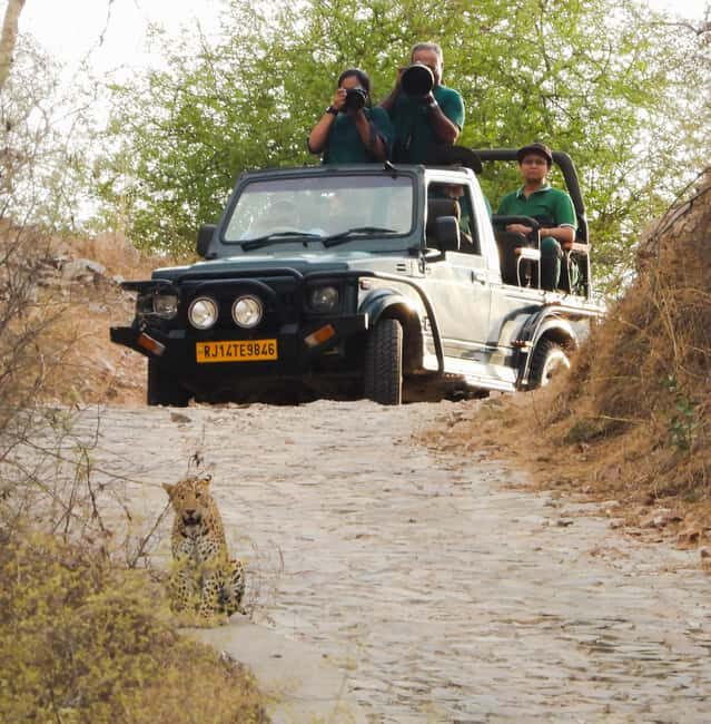 Jaipur: Private Jhalana Leopard Safari Tour - Practical Tips for Your Safari
