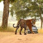 Jaipur: Ranthambore Tiger Safari Round Trip with Transfers - Visiting Ranthambore Fort