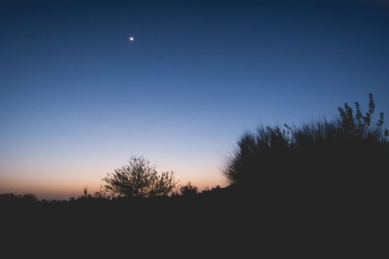 Jaisalmer: 2-Day Thar Desert Experience - What Makes This Tour Stand Out?