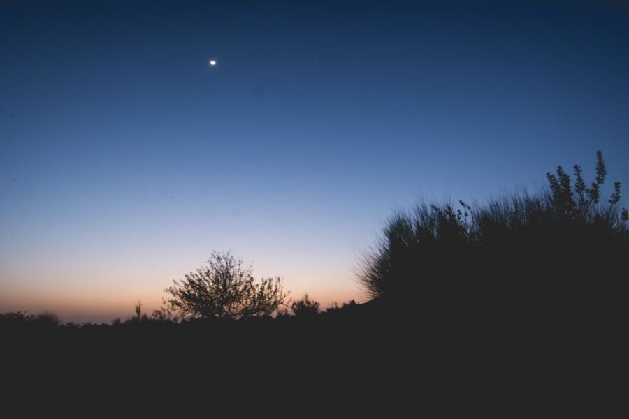 Jaisalmer: 2-Day Thar Desert Experience - What Makes This Tour Stand Out?