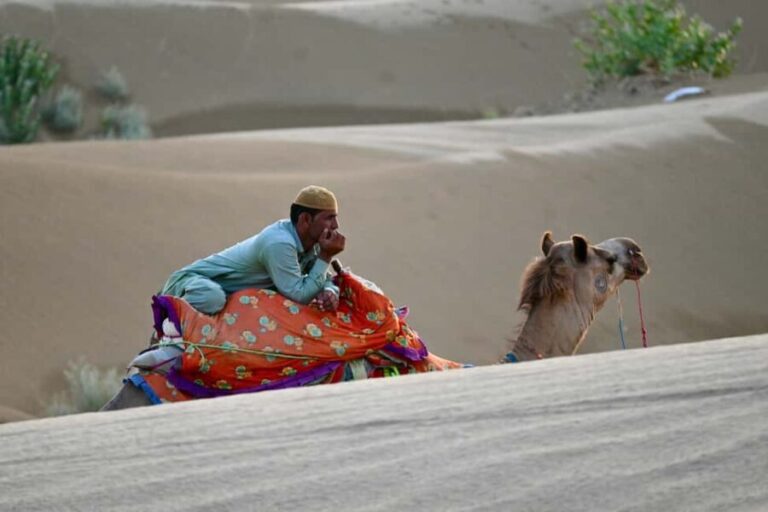 Jaisalmer: Desert Camp with Camel Ride and Cultural Show - Exploring the itinerary in detail