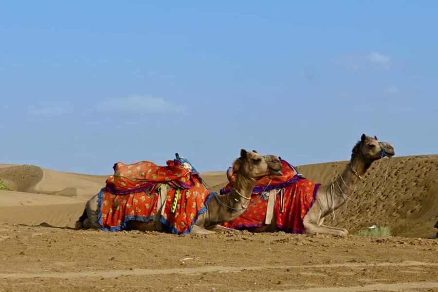 Jaisalmer: Thar Desert Sunset Camel Ride with Dinner & Show - Authenticity and Value