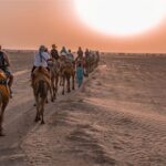 Jaislamer Sightseeing with Sunset Camel & Desert Safari Tour - What Makes This Tour Stand Out